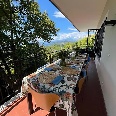 Διαμέρισμα Apartments- Belvedere